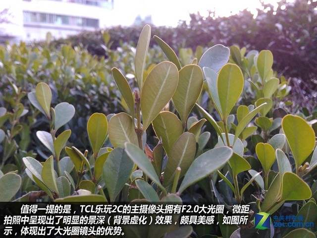 百元指紋手機(jī)好選擇 TCL樂(lè)玩2C購(gòu)機(jī)手冊(cè)