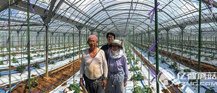 都說谷歌的人工智能高大上 那就先說說如何幫農(nóng)民分揀黃瓜
