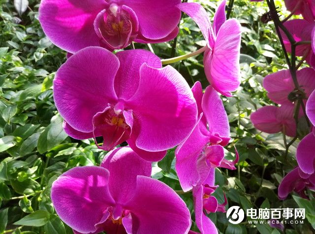 魅藍(lán)E半月使用體驗評測：品質(zhì)實力不輸顏值
