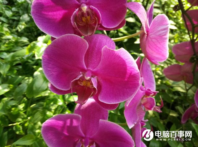 魅藍(lán)E半月使用體驗評測：品質(zhì)實力不輸顏值