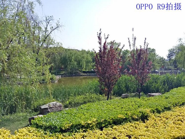 OPPO R9和360 N4S拍照哪個好？樣張對比