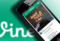 傳Twitter欲出售短視頻服務(wù)Vine 但買家出價極低