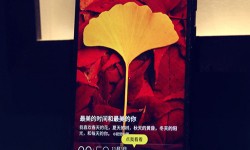 2016年四款熱門指紋識別手機(jī)推薦