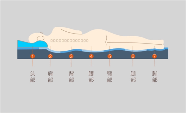 999元起！小米眾籌8H乳膠床墊R1發(fā)布：七分區(qū)設計