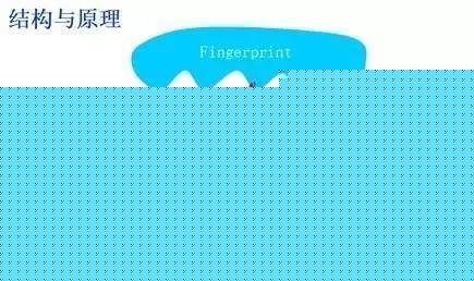 小米8透明探索版不完全拆解：我們發(fā)現(xiàn)了一個(gè)秘密