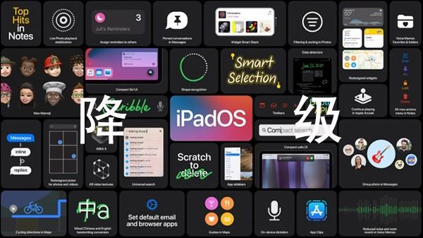 iPadOS14怎么降級？ iPadOS14降級教程