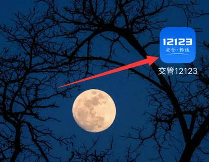 交管12123檢驗(yàn)合格標(biāo)志電子版在哪里查看？